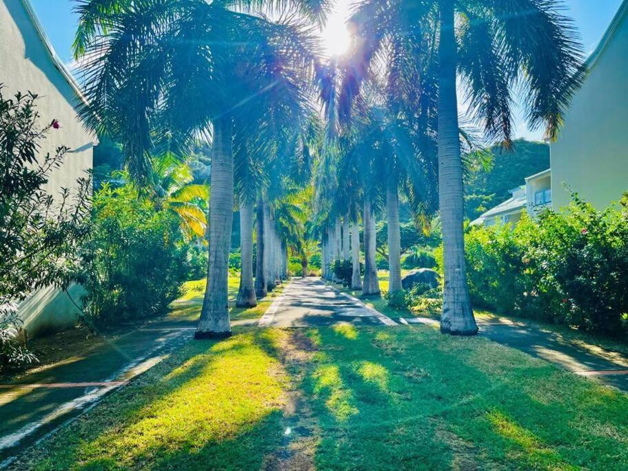 Le Palmier Bleu, Cocon Tropical, Plage & Piscine Anse Marcel Buitenkant foto