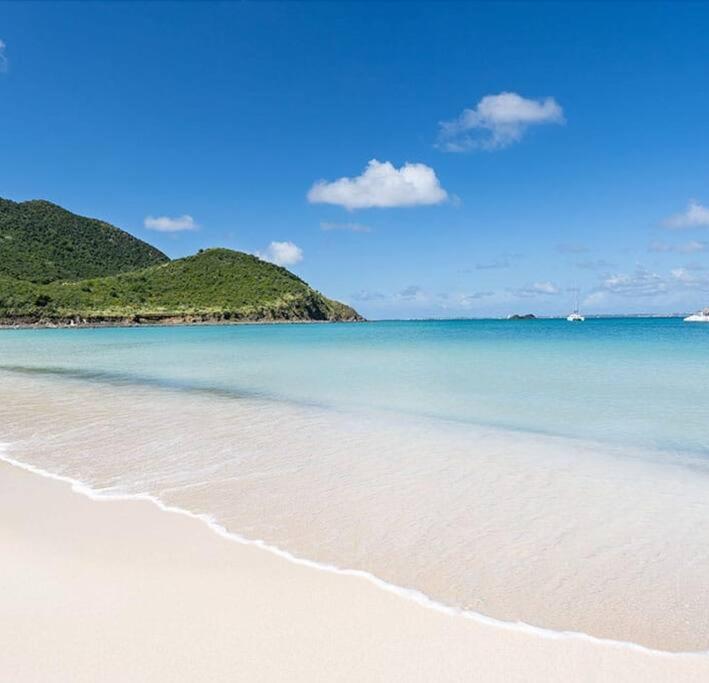 Le Palmier Bleu, Cocon Tropical, Plage & Piscine Anse Marcel Buitenkant foto